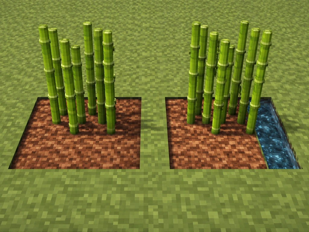 Two adjacent bamboo patches in Minecraft style—one dry, one near water—both growing.